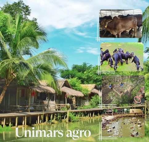 UniMars Agro