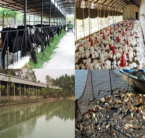 agro firm 483x460