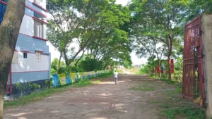 In side of the road in the project
